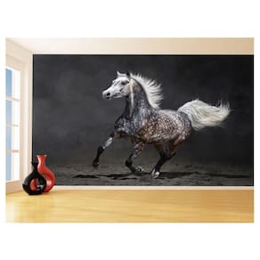 Papel De Parede Animais Cavalo Correndo Campo 3,5M Anm351