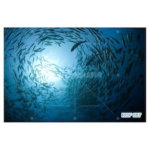 Papel De Teto Fundo Do Mar Cardume De Peixes 3,5M Rof87