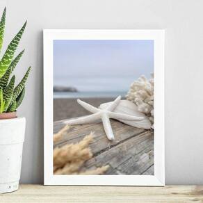 Quadro Coleção Praia Soft - Estrela Do Mar 24X18Cm