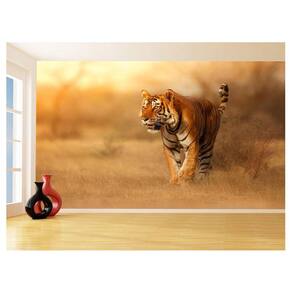 Papel De Parede Animais Tigre Campo Sol Andar 3,5M Anm562