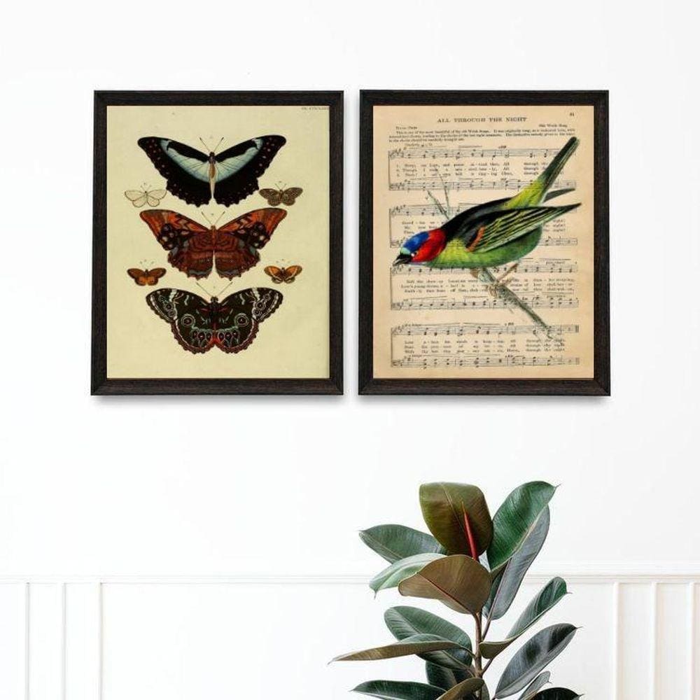 Kit 2 Quadros Pássaro E Borboletas Vintage 24X18Cm - Vidro