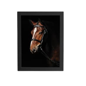 Quadro Cavalo Animais Fotografia Moldura Preta 60X40Cm