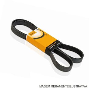Correia Micro V Continental T-114 - 8PK2155RNH