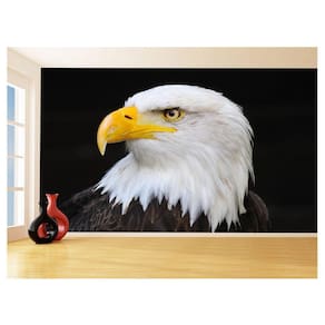 Papel De Parede 3D Animais Ave Aguia Rosto Olho 3,5M Anm291