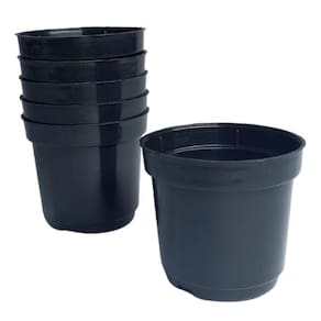 Kit Com 6 Vasos Para Plantio Pequeno P06 Preto 5,5X5 Cm