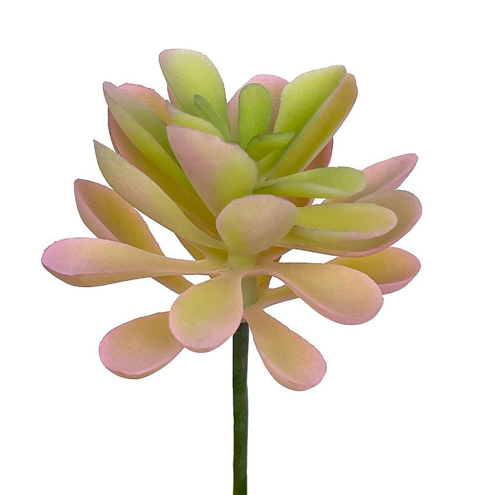 Suculenta Real Planta Artificial Decorativa | Challenge Decor