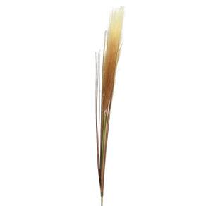 Haste Rabo de Lebre com Capim Natural Decorativa