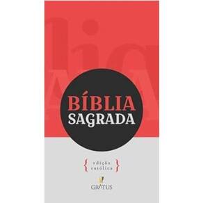 Biblia Sagrada Nvt Edicao Catolica