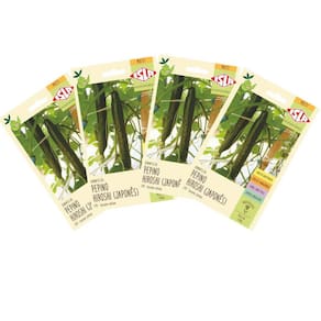 4X Sementes de Pepino Japonês Hiroshi ISLA