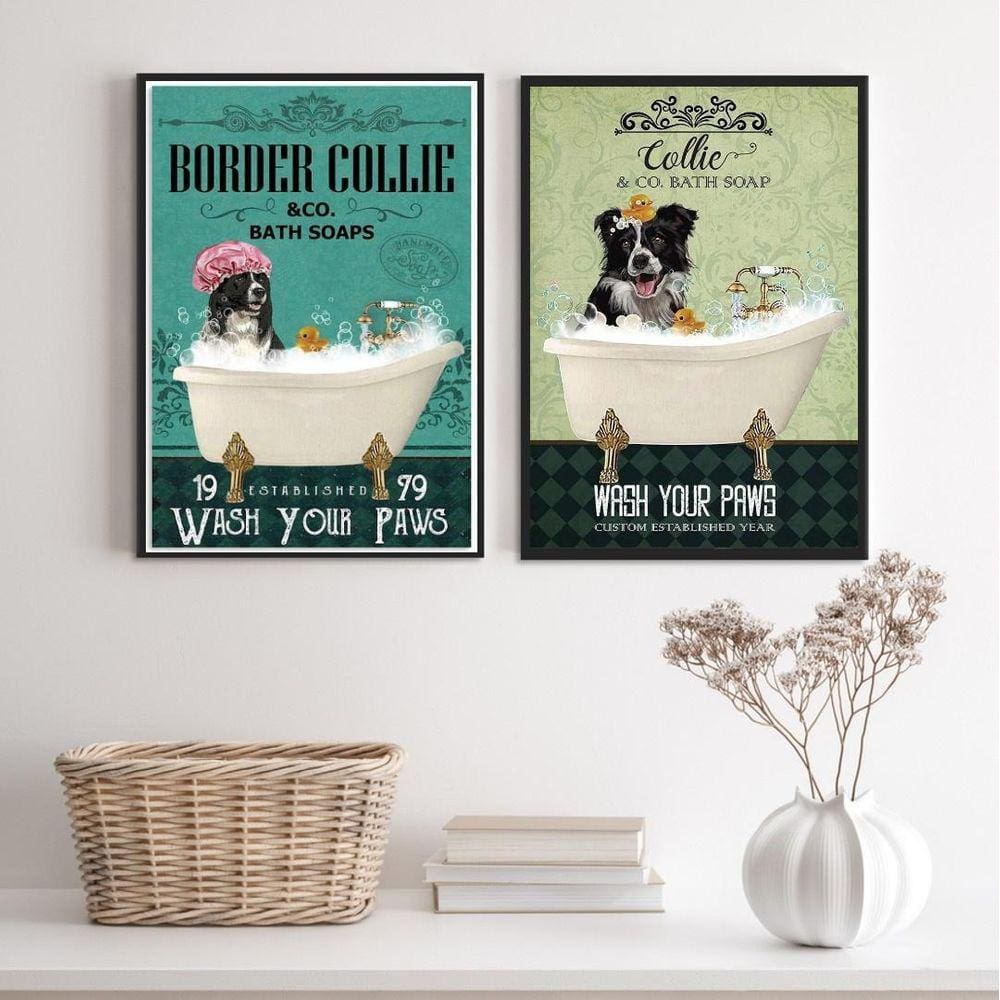 Kit 2 Quadros Banheiro Cão Border Collie 33X24Cm - Com Vidro