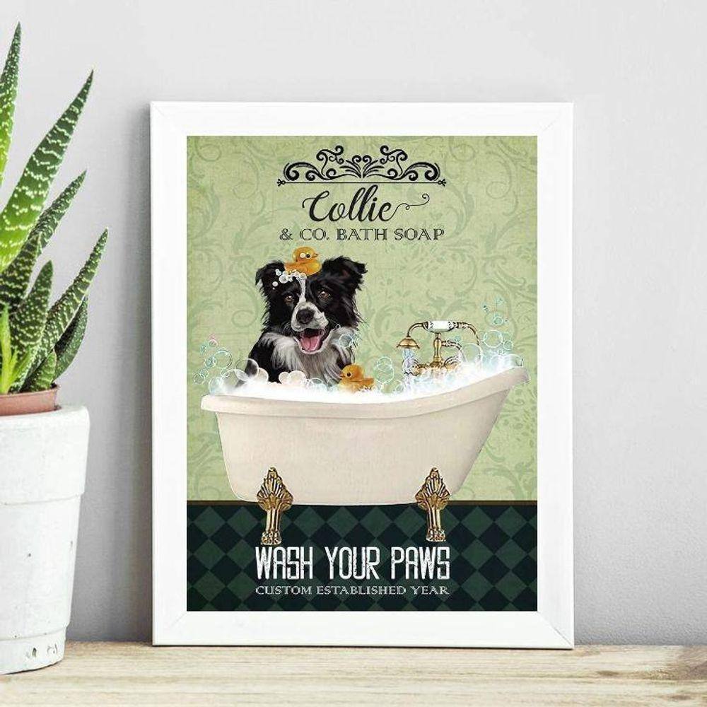 Quadro Decorativo Banheiro Border Collie 33X24Cm - Com Vidro