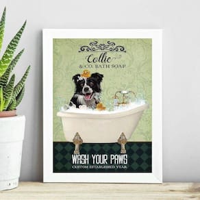 Quadro Decorativo Banheiro Border Collie 45X34Cm - Com Vidro