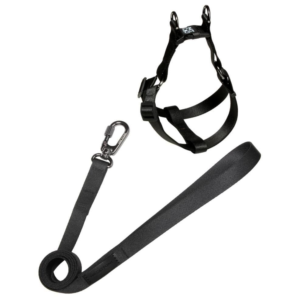 Kit - Peitoral Americano + Guia – Elegance  - Tamanho G [F117]