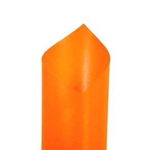 Papel Perolado Neon 180g formato A4 Laranja - 10 folhas