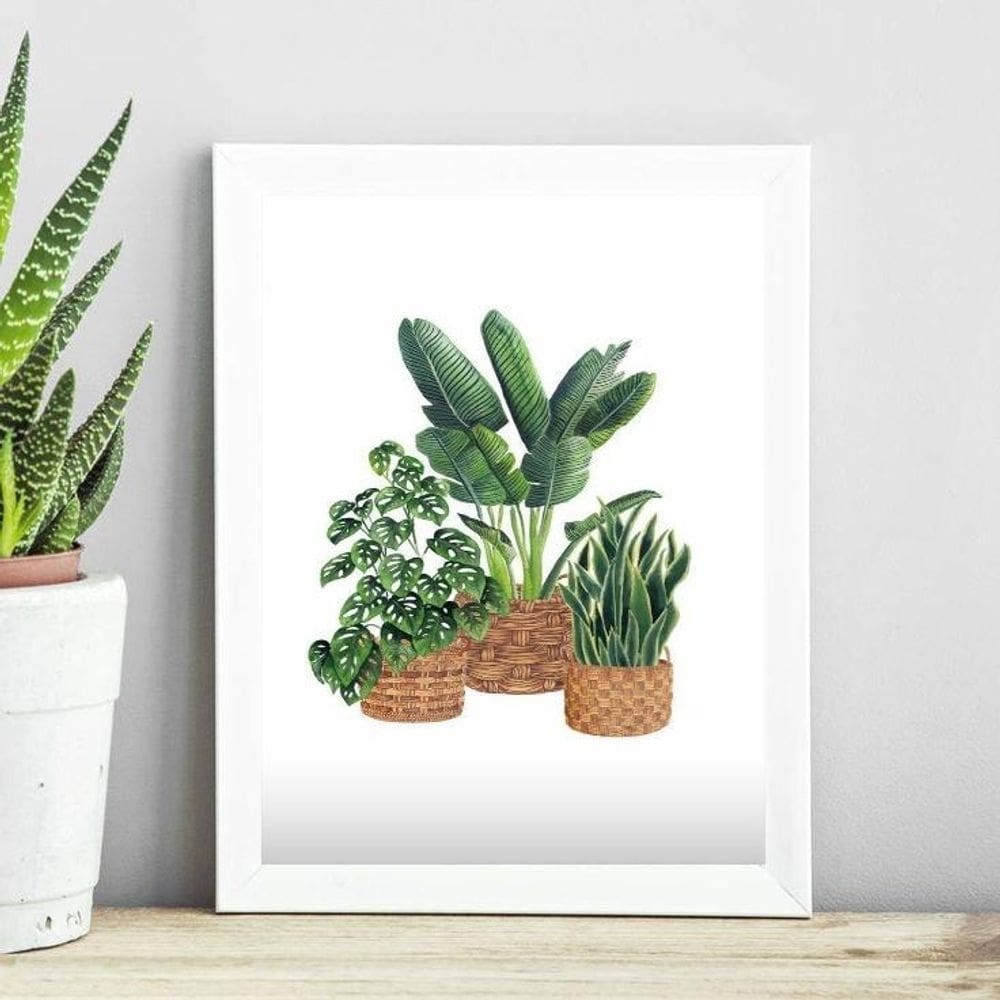 Quadro Minimalista Vaso De Plantas 45X34Cm - Com Vidro
