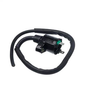 Bobina Ignicao Condor 12v Cg 125 00 A 02 [F016]