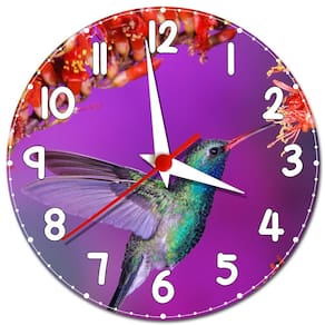 Relógio de Parede Beija Flor Decoração de Jardim Decoração com Passarinho