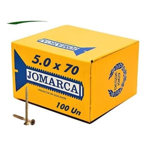 Parafuso Madeira Philips Cabeça Chata 5,0 X 70 7Cm 100 Pçs