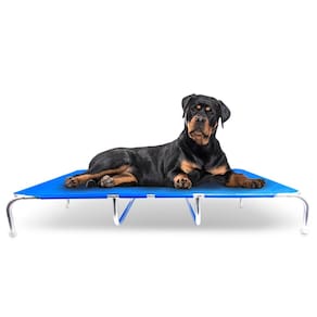Cama Suspensa Mec dreams Tamanho XL Cor Azul Mec G