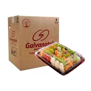 Embalagem japonesa sanpack oriental s-918 c/100