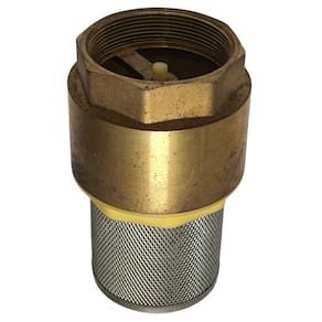 Válvula Fundo de Poço 2.1/2 Tela Em Inox - 19410