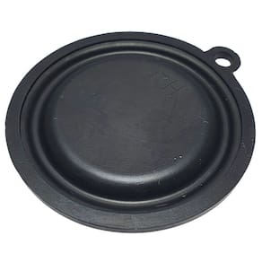 Diafragma Membrana Aquecedor Lorenzetti L8 Lz900 Lz800fb D54 mm - G214