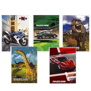 Kit 10 cadernos brochurão costurado capa dura meninos