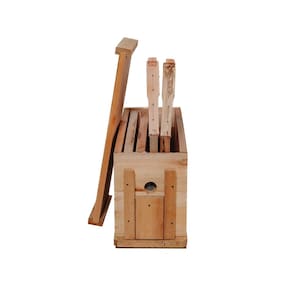 Núcleo - Padrão Langstroth - 4 Quadros Com Arame