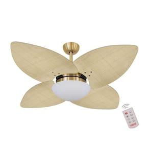 Ventilador De Teto Dourado 4 Pás Palmae Natural 127V