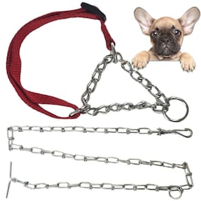 Coleira Ajustavel Semi Enforcadora Cachorro Cao Pet Guia