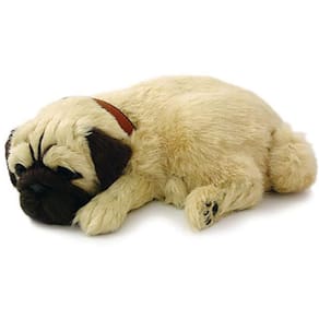 Perfect petzzz filhote cachorro pug  imex
