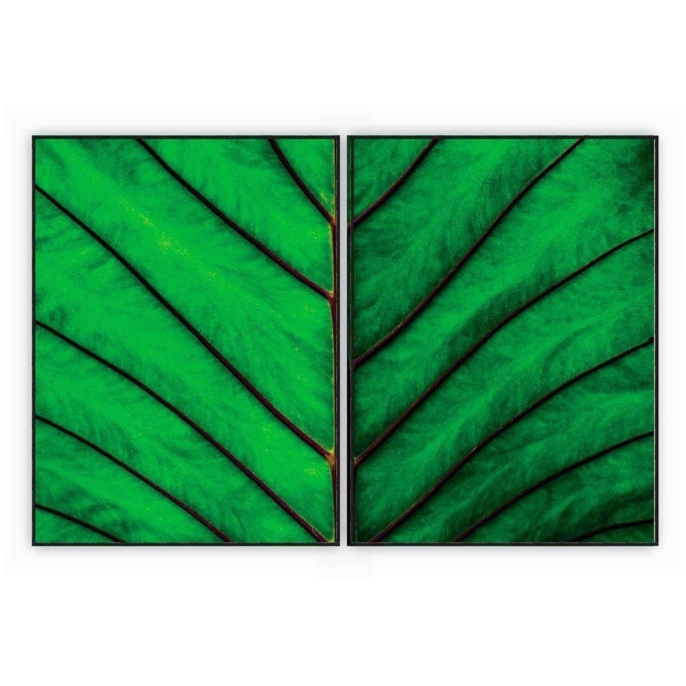 Kit Com 2 Quadros Decorativos Florais Com Moldura Para Sala Quarto Escritório 62x823 Floral 017