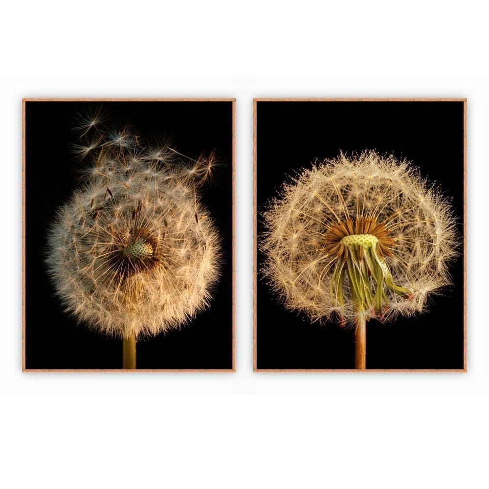 Kit Com 2 Quadros Decorativos Florais Com Moldura Para Sala Quarto Escritório 52x67 Floral 003