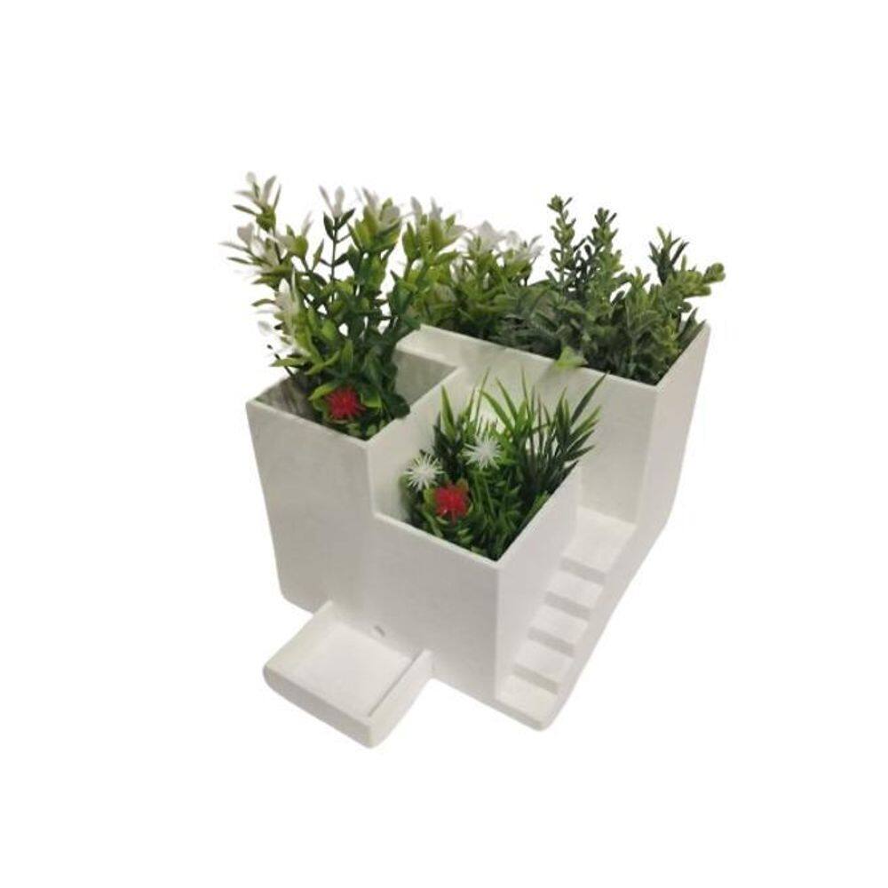 Vaso Charmoso Para Suculentas E Cactus Casa Das Plantas