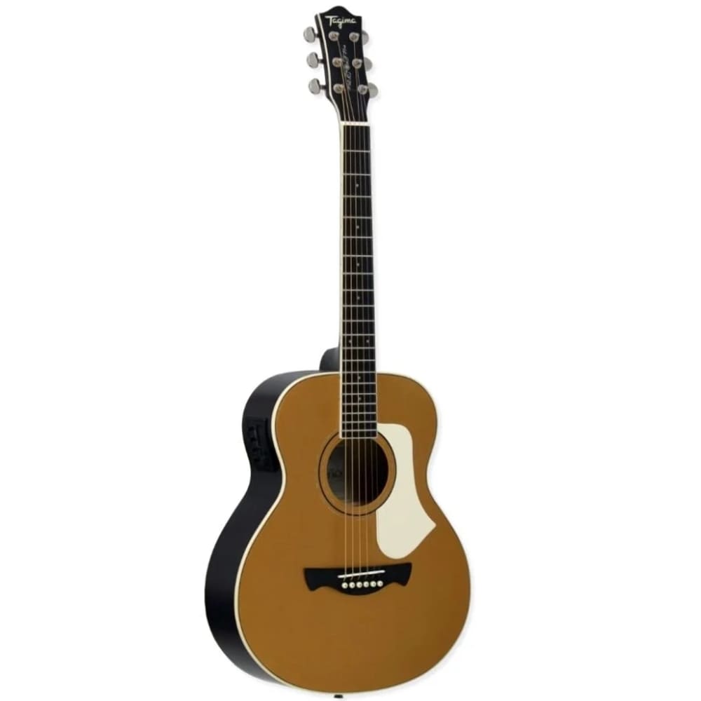 Violão Tagima Mini Aço Latin America Porteño Mgys