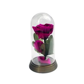 Cúpula rosa encantada a bela e a fera presente para namorada