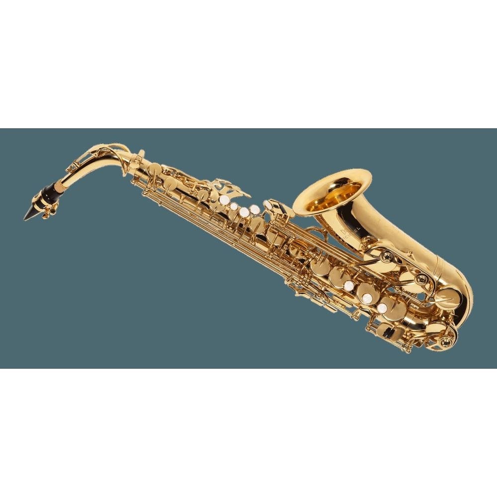 Sax Alto Michael Wasm30N Laqueado Dourado