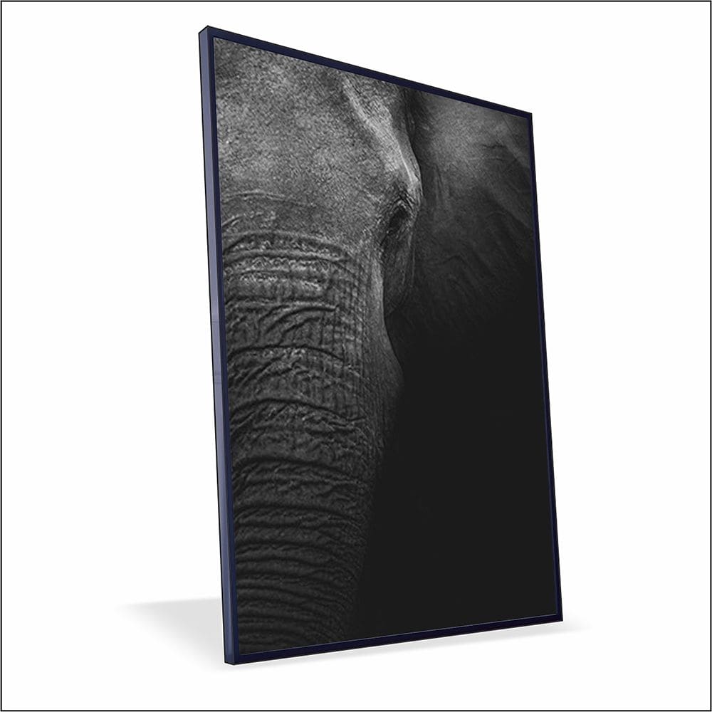 Elefante Lateral Canvas Sem Vidro