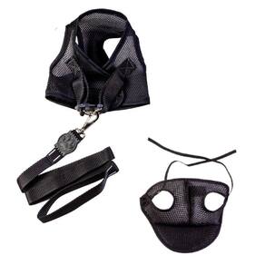 Kit boné e coleira peitoral aerado com guia preto pp