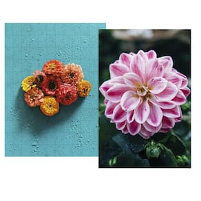 Kit 2 quebra-cabeças cognitivos idosas flores do brasil 60