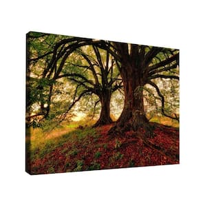 Quadro Decorativo árvore Meu Esconderijo