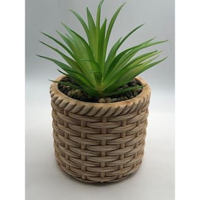Cachepot De Ceramica Com Suculenta Rattan 10Cm X 10Cm X 17Cm