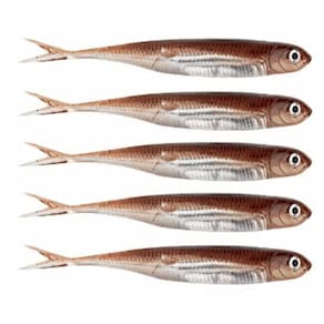 Kit 5 iscas artificiais pesca real jig shad soft head 10cm m