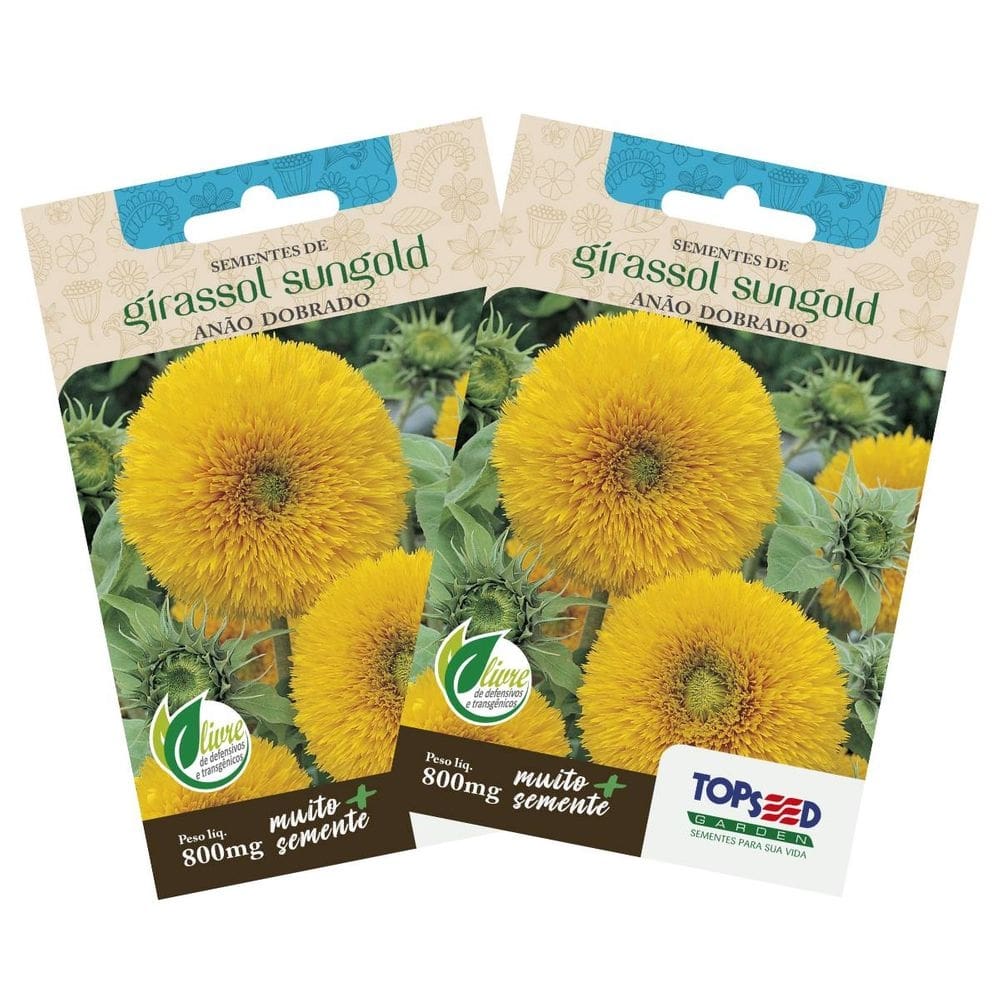 2X Sementes de Girassol Anão Sungold (Dobrado) TOPSEED