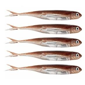 Kit 5 iscas artificiais pesca real jig shad soft head 10cm m