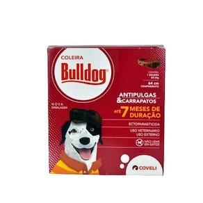 Bulldog coleira cães 64cm