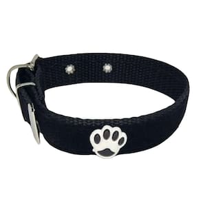 Coleira Camurça Aplique Pra Cachorro Nicapet 25Mm Cor Preta