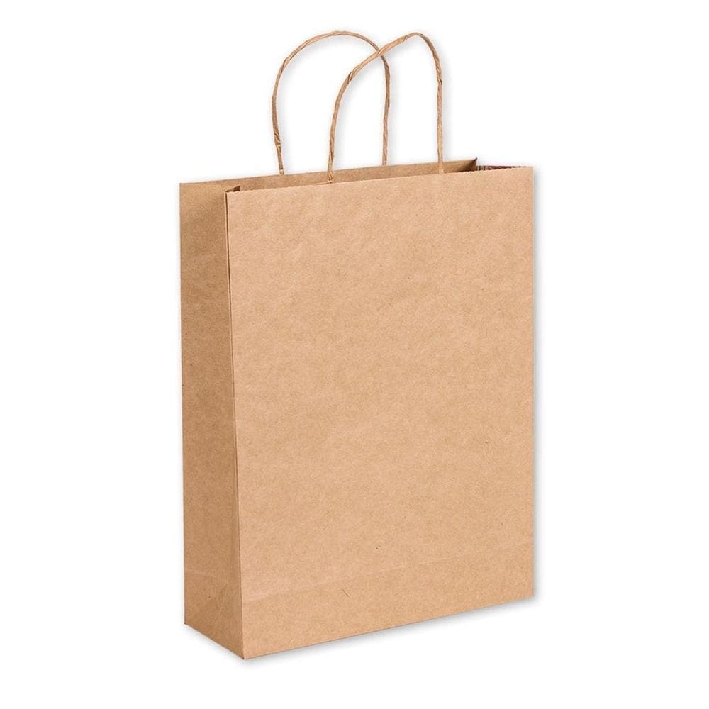 Sacolas kraft lisas m 23,5x10x31,5 cm 10 unid.