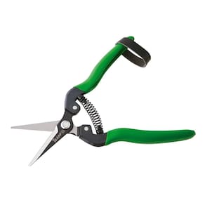 Tesoura Colheita E Desbaste 18,5cm Ts-803b Trapp