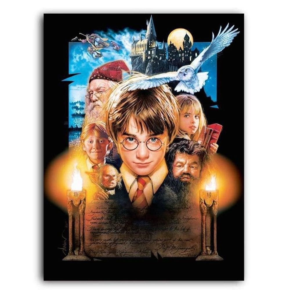 Placa mdf 30 cm x 20 cm - harry potter bd63